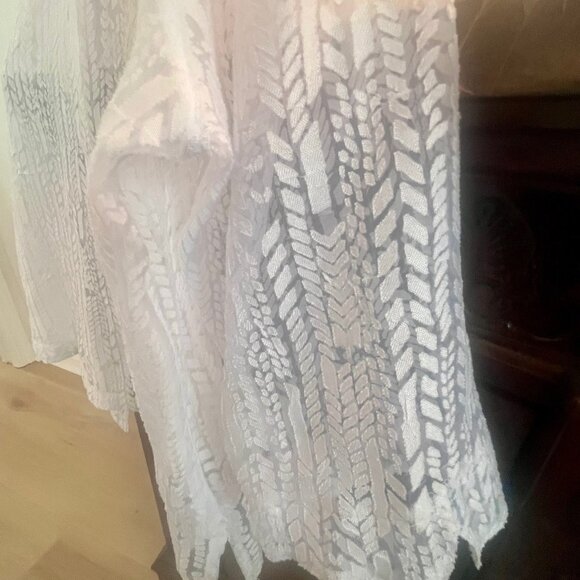 White Sheer Button Down - Picture 3 of 4